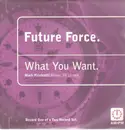 12inch Vinyl Single - Future Force - What You Want (Mark Picchiotti Mixes)