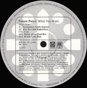 12inch Vinyl Single - Future Force - What You Want - (Karmasutra / Richie Jones Mixes) - Record Two Of A Two Record Set