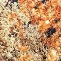 Future Islands - In the Fall =Blue=