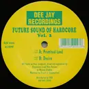 12inch Vinyl Single - Future Sound Of Hardcore - Vol.2 - Promised Land / Desire