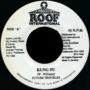 Future Troubles - Kung Fu