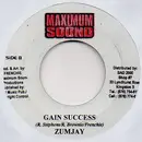 7inch Vinyl Single - Future Troubles / Zumjay - Shake / Gain Success