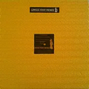 12inch Vinyl Single - Future Breeze - Why Don't You Dance With Me