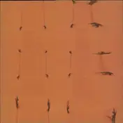 Füxa - TECHNO LIGHT