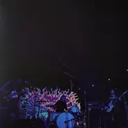 Fuzz - Levitation Sessions