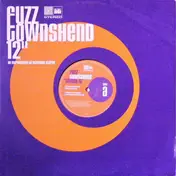 Fuzz Townshend - Smash It