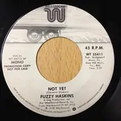 fuzzy haskins - Not Yet