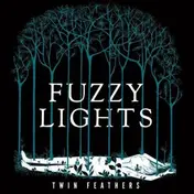 fuzzy lights - Twin Feathers