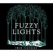 fuzzy lights - Twin Feathers
