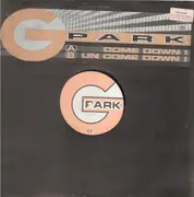 12inch Vinyl Single - G-Park - Come Down
