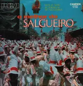 Acadêmicos Do Salgueiro - O Melhor Do Salgueiro