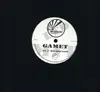 12inch Vinyl Single - GAMET - NO FUTURE/MICROCOSM