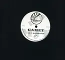 12inch Vinyl Single - GAMET - NO FUTURE/MICROCOSM