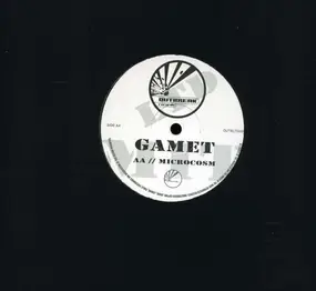 GAMET - No Future/Microcosm