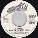 7inch Vinyl Single - Gabe Lapano - Back On The Road Again