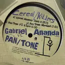 12inch Vinyl Single - Gabriel Ananda vs. Pan/Tone - Sheli O / Whodunit / P.S. U. Suck