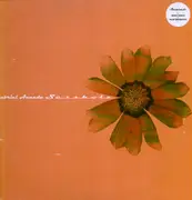 12'' - Gabriel Ananda - SUESSHOLZ -RMX-