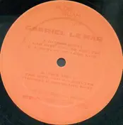 Gabriel le Mar - I Can Give You No Shelter