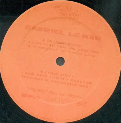 Gabriel Le Mar - I Can Give You No Shelter