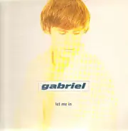 Gabriel Felder - Let Me In