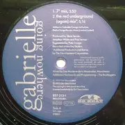 12inch Vinyl Single - Gabrielle - Going Nowhere