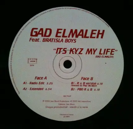 Gad Elmaleh Feat. Bratisla Boys - It's Kyz My Life