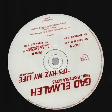 Gad Elmaleh Feat. Bratisla Boys - It's Kyz My Life