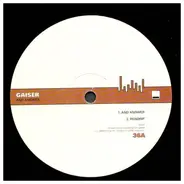 Gaiser - AND ANSWER
