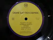 LP - Galaxie 500 - This Is Our Music