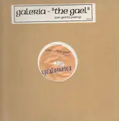 Galeria - The gael (we gotta party)