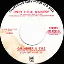 7inch Vinyl Single - Gallagher & Lyle - Every Little Teardrop