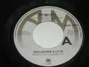 7inch Vinyl Single - Gallagher & Lyle - I Wanna Stay With You / Breakaway