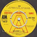 7'' - Gallagher & Lyle - Dan / Home