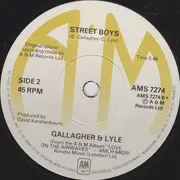 7inch Vinyl Single - Gallagher & Lyle - Every Little Teardrop - Solid centre