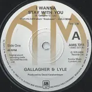 7'' - Gallagher & Lyle - I Wanna Stay With You