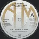 7'' - Gallagher & Lyle - I Wanna Stay With You