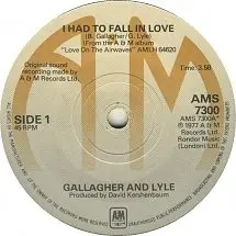 Gallagher & Lyle - I Had To Fall In Love