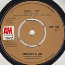 7'' - Gallagher & Lyle - Shine A Light