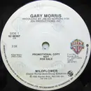 7inch Vinyl Single - Gary Morris - Wildflower