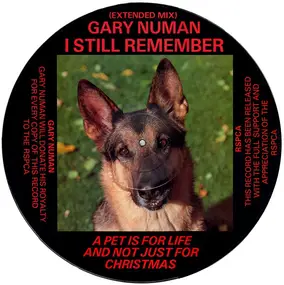 Gary Numan - I Still Remember