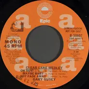 Gary Busey - Clear Lake Medley