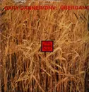 12inch Vinyl Single - Gary Danner / Die Nervösen Vögel - Übergang