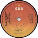 7inch Vinyl Single - Gary Puckett & The Union Gap - Young Girl