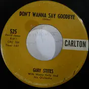 gary stites - Don't Wanna Say Goodbye
