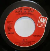 Gary Taylor - Just What I Have In Mind