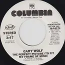 7inch Vinyl Single - Gary Wolf - The Perfect Picture (To Fit My My Frame Of Mind)