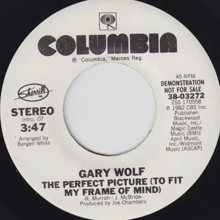 Gary Wolf - The Perfect Picture (To Fit My My Frame Of Mind)