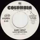 7inch Vinyl Single - Gary Wolf - Love Never Dies