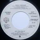 7inch Vinyl Single - Gary Wright - Got The Feelin'