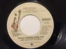 7inch Vinyl Single - Gary Wright - Really Wanna Know You / More Than A Heartache
